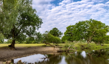 Тихое утро Полесья... / Утро рыбака
