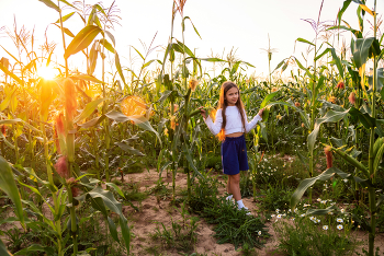 Закат в кукурузном поле / модель Полина Стрежнева