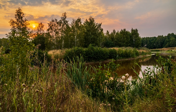 Жаркий Подмосковный Август 02 / 21 августа 2022 года. Восток Московской области, Дрезна