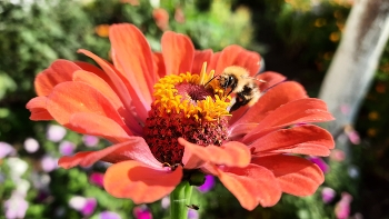 За работой ... / Солнечный денёк