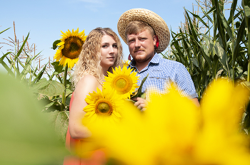 &nbsp; / Любовь в подсолнухах:)