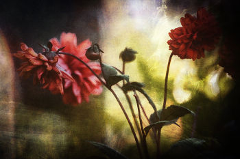 Почти как люди. / ...