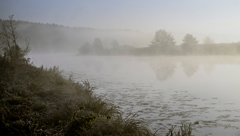 Утро, туман. / Ноябрь. Озеро Сосновое.