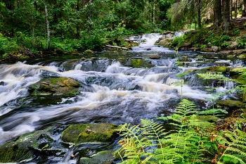 Карелия / Река