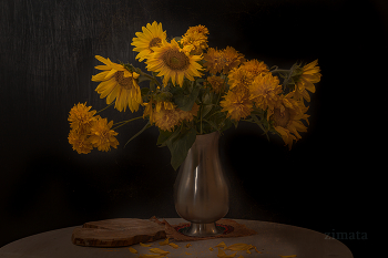 желтизна / натюрморт с подсолнухами