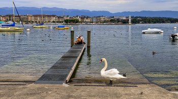 После летнего дождя / Швейцария, Женева, Женевское озеро