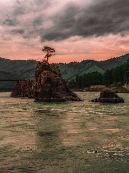 dragon's teeth II / Altay