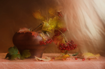 Осенний / натюрморт осень листья калина