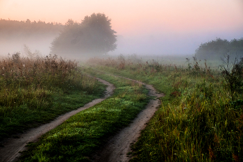 Утро в лугах Мещеры. / Летние туманы.