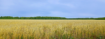 Горизонт / Горизонт