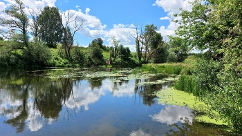 река Осётр на границе Московской и Рязанской областей / река Осётр на границе Московской и Рязанской областей