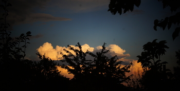 На закате / Уходящее на отдых солнце окрасило облака