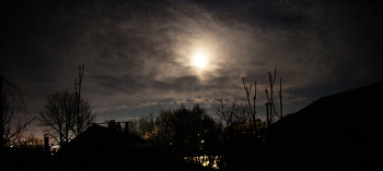 Ночь / Луна осматривает свои владения