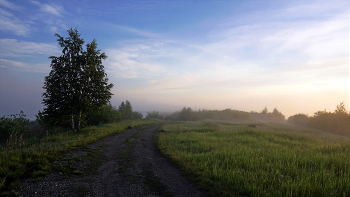 Свежим утром / По дороге к озеру утром свежим, приправленным туманом... 
Южный Урал. Челябинская область