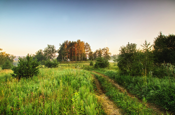Прохладное утро жаркого дня / Лето!