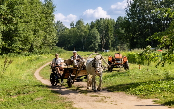 Фотограф, парень очень важный... / Сельский мотив. 2022