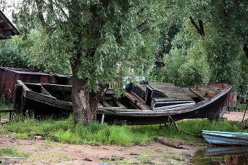 &nbsp; / На Ильмене....соймы...