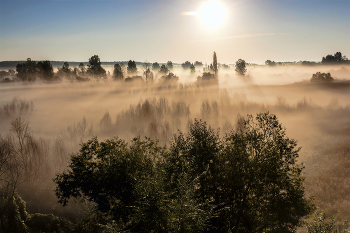 Утро в сентябре.. / Утром был сильный туман. С возвышения, после рассвета на местности.. Линии тумана при солнечном свете, под определенном угле. Солнечный свет подчеркивающий верхушки деревьев в дымке тумана.