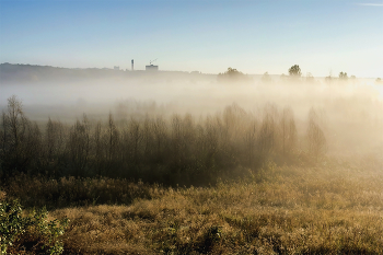 Сильный туман утром.. / Утром при сильном тумане. Сентябрь, изменение погоды и утром туман.. Еле проглядывают кустарники и деревья на среднем плане.. На переднем осенняя трава в росе. Проглядывает блеск росы а солнце, освещающем сквозь туманность.. Облако тумана над местностью.