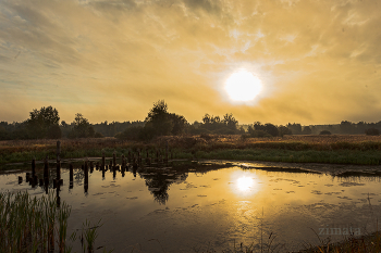 Шёлковый рассвет / Осень в Подмосковье