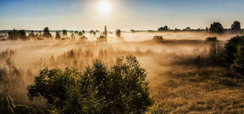 Утро, туман, рассвет.. / Пейзажная панорама. Когда утром туман над местностью.. Верхушки деревьев в море тумана.. Они выглядывают из стелящихся облаков тумана..
