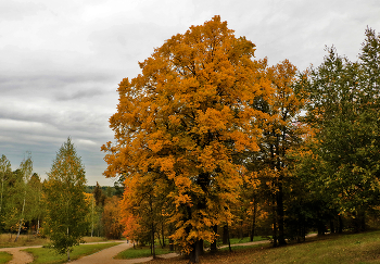 Начало осени прекрасной / ***