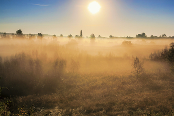 Туман и солнца свет.. / Утром на рассвете в сентябре.. Когда солнце поднялось над горизонтом. Но еще сильный туман. И солнце сквозь туман с лучами проникает на местность.. Линии тумана и его полосы ранним утром...
