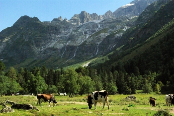 Альпийская идиллия ... / Архыз | Софийская долина , вид на Софийские водопады