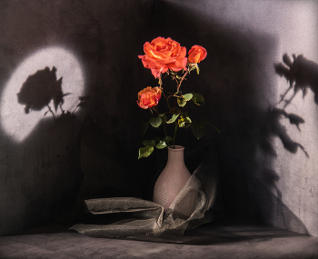 Этюд с розой / Этюд с розой