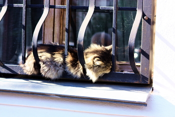 Не пускают / Ожидание