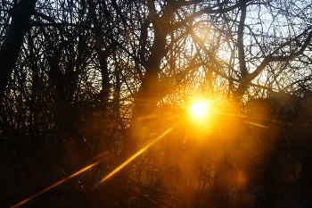 Рассвет / Прорвалось