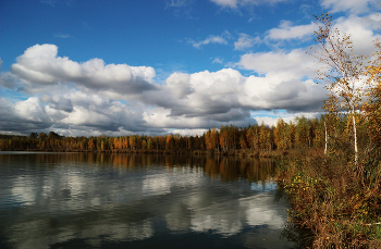 Святое озеро... / Одно из озер Косинской озёрной группы в Подмосковье...