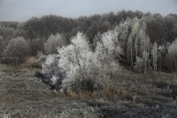 &nbsp; / осень