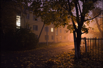 Туманным утром / туманным утром во дворе