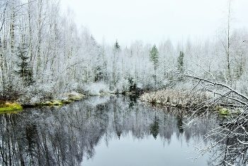 "Вы слышите, как пахнет тишиной ?..." / "Прислушайтесь к беззвучия оттенкам ...
 На языке покоя сам покой
 С безмолвия для вас снимает пенки ..."
Т.Травник