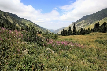 &nbsp; / В горах Алматы