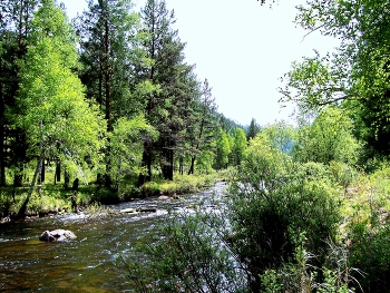 Лето на Олхе / Иркутская область