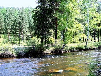 Лето на Олхе / Иркутская область