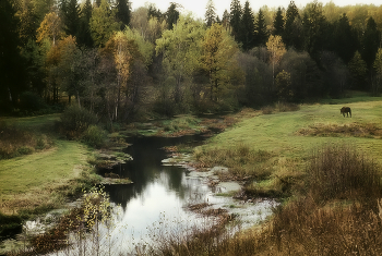 Осень в Абрамцево... / Тихая, пасмурная погода...