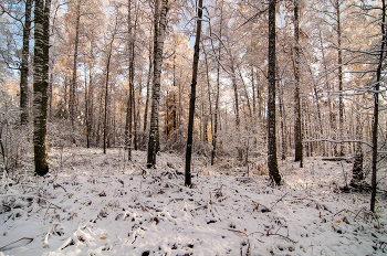 В последний день сентября. / Красноярский край.