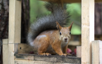 Когда фотку принесёшь? / " " "