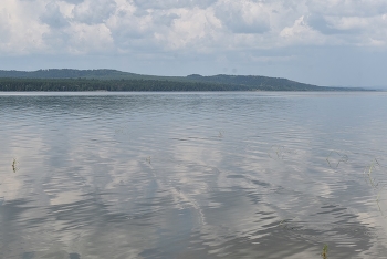 живое зеркало / ____