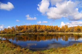 Зеркало осени / Природы пышное убранство Пленяет радостно мой взор. Люблю её непостоянство И буйство красок, и простор, И «дым» над зеркалом озёр, И неба синего пространство. Меня манит тропа лесная. Бреду я, листьями шурша. Картины осени листая, Прозрачный воздух пьёт душа. Птенцов неопытных, спеша, В полёт готовит птичья стая. На тонких струнках «звёзд» паучьих Росы богемское стекло В тенета ловит солнца лучик, Его прощальное тепло, Чтоб Бабье лето не ушло От холодов дождей колючих… (Борис Прахов)