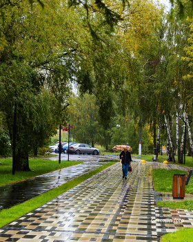 Дождик / Дождливое,осеннее утро