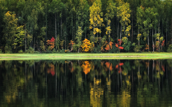 Осенний берег. / ***