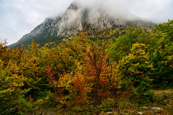 Осень у Парагельмена / Крым, Малый Маяк