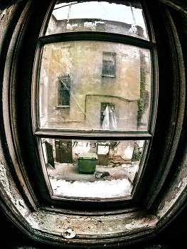 Окно с видом на зелёную мусорку / Старые дворы Санкт-Петербурга