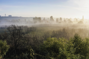 Стелется туман.. / Утром в начале октября туманно. На местности опять туман. Утром на рассвете стелется немного вдали и постепенно уходит. Туман полосами..