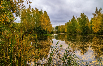 Осень набирает обороты # 04 / 02.10.2022 Восточное Подмосковье, Дрезна...