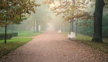 Утро / Екатерининский парк